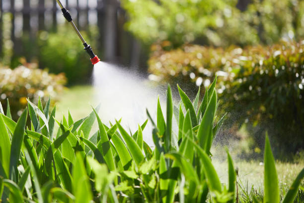 24/7 Emergency Mosquito Control experts in Edcouch, TX