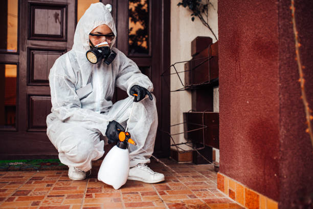 Reliable Mosquito Control contractor in Edcouch, TX by Show Me Pest Control